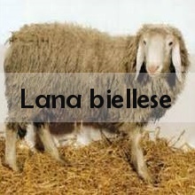 Lana biellese